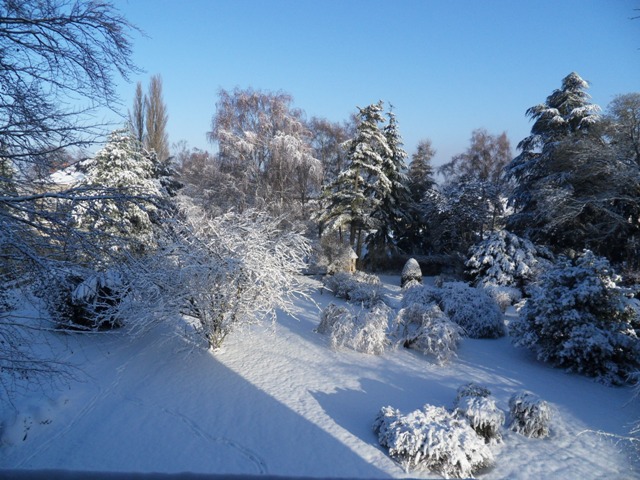 Le grand jardin... sous la neige (et le soleil !)